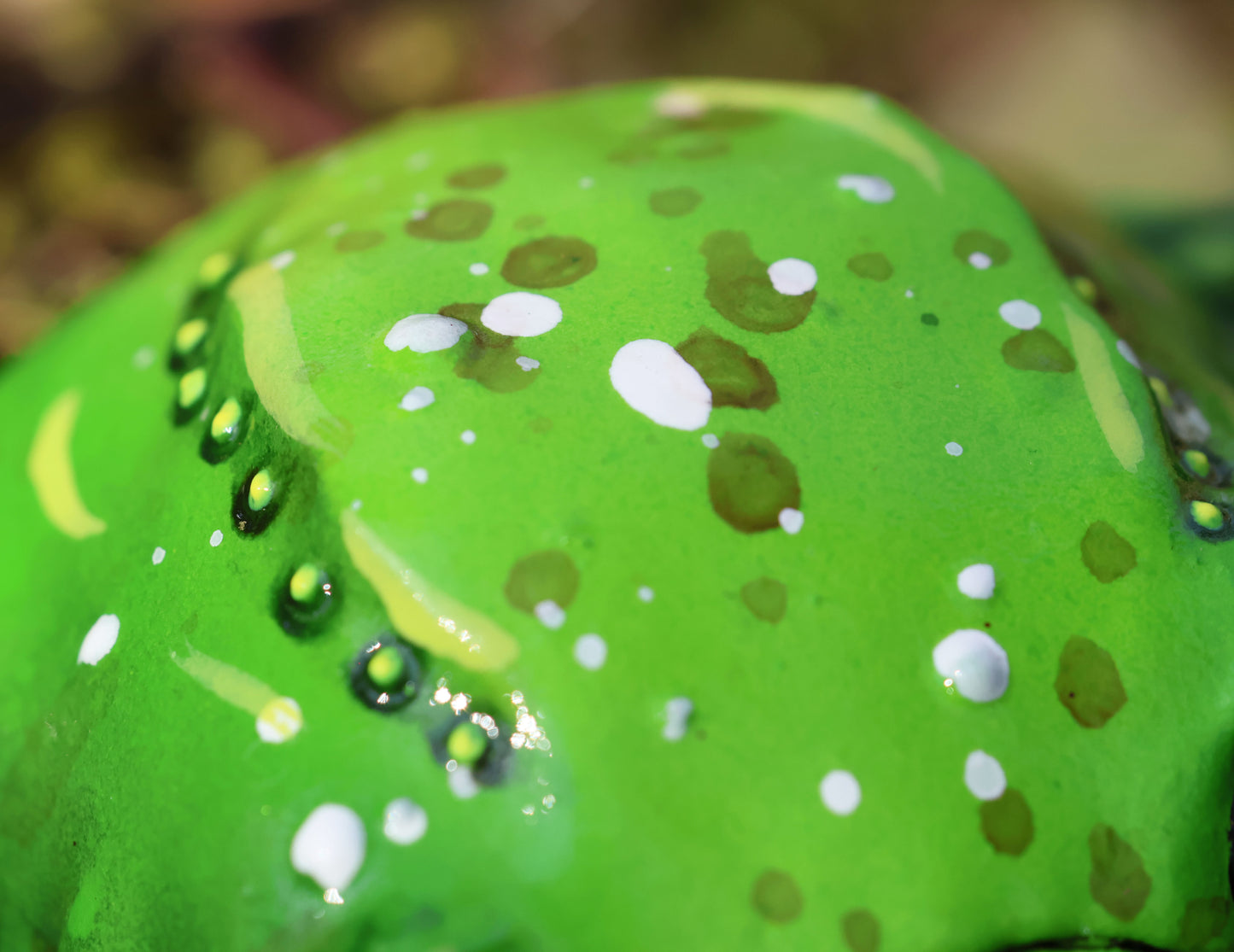 a close up photograph of glumbert's back. it is green and has an assortment of white, yellow and darker green spots.
