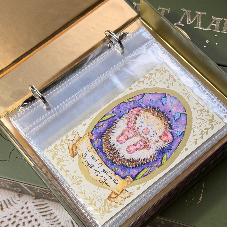 Affirmation Card Collector's Box
