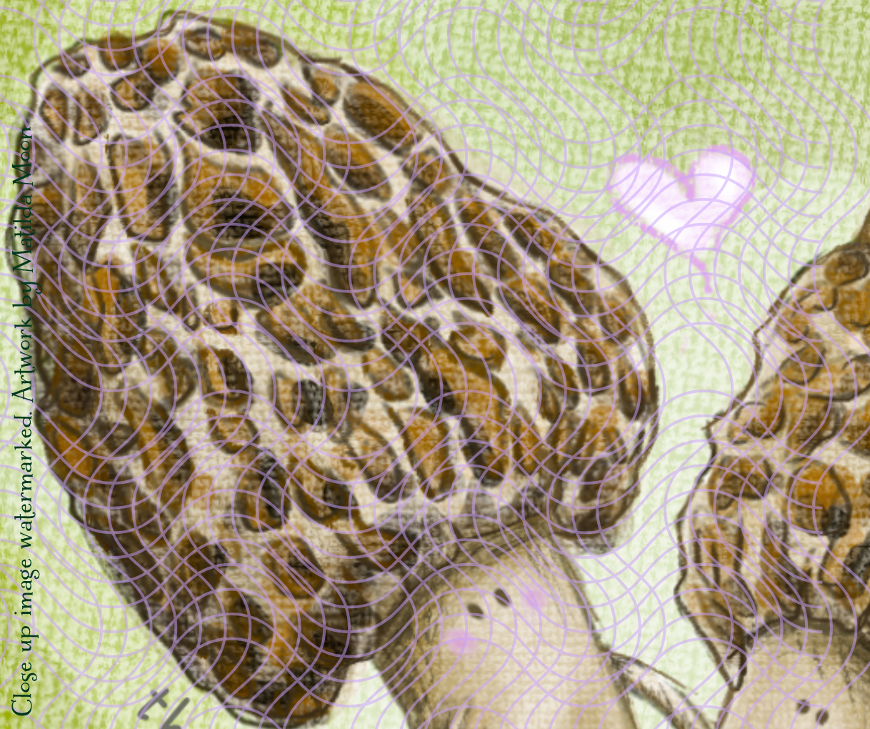 "Morel Support" - Cute mushroom art print
