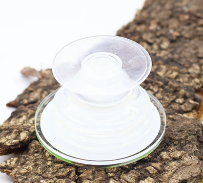 Morel Support Mushrooms - Phone Grip