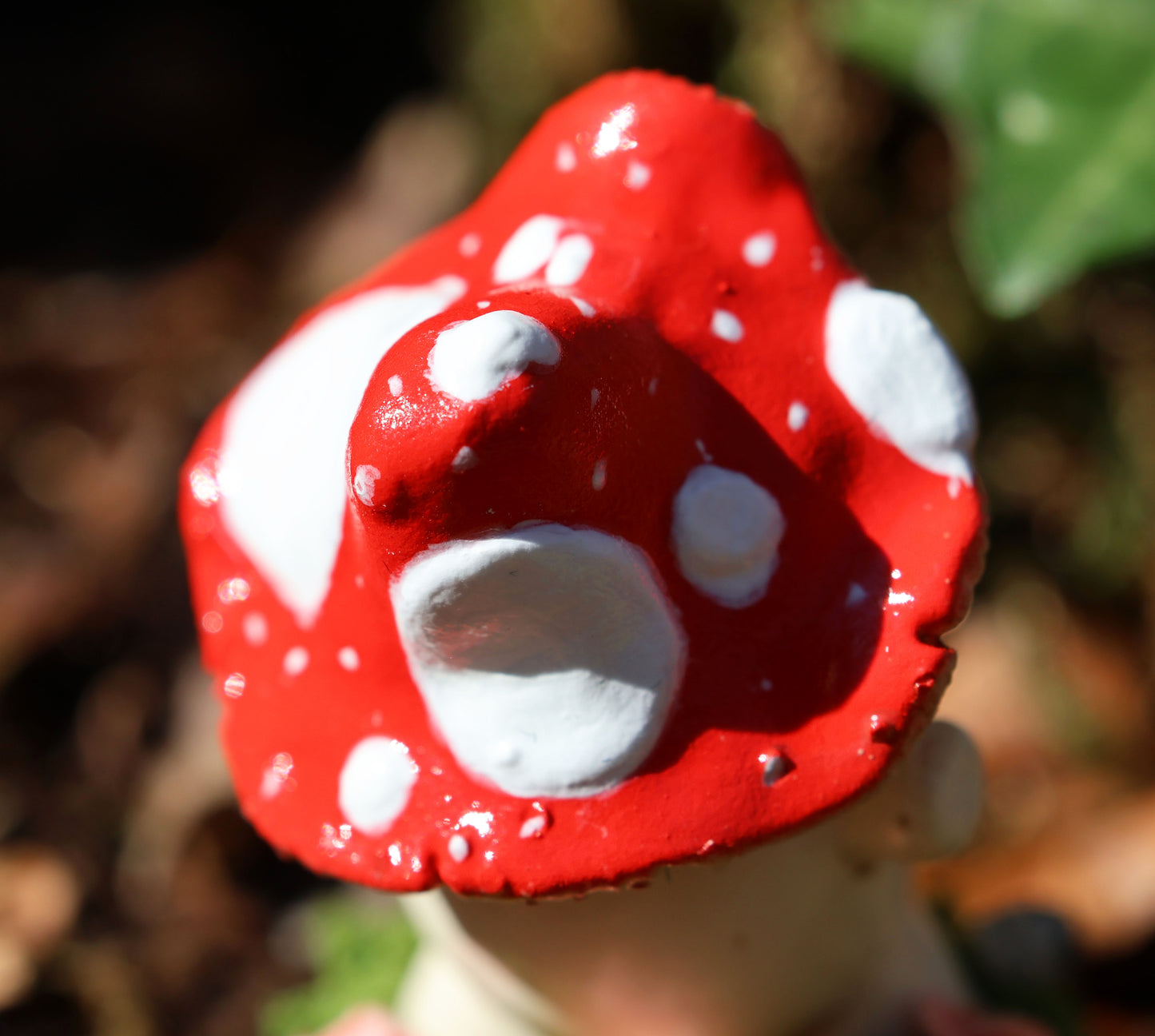 a close up photo of alba's red fly agaric mushroom cap, it is bright red with various sizes and shapes of white spot. in the background there is brown leaves and ivy