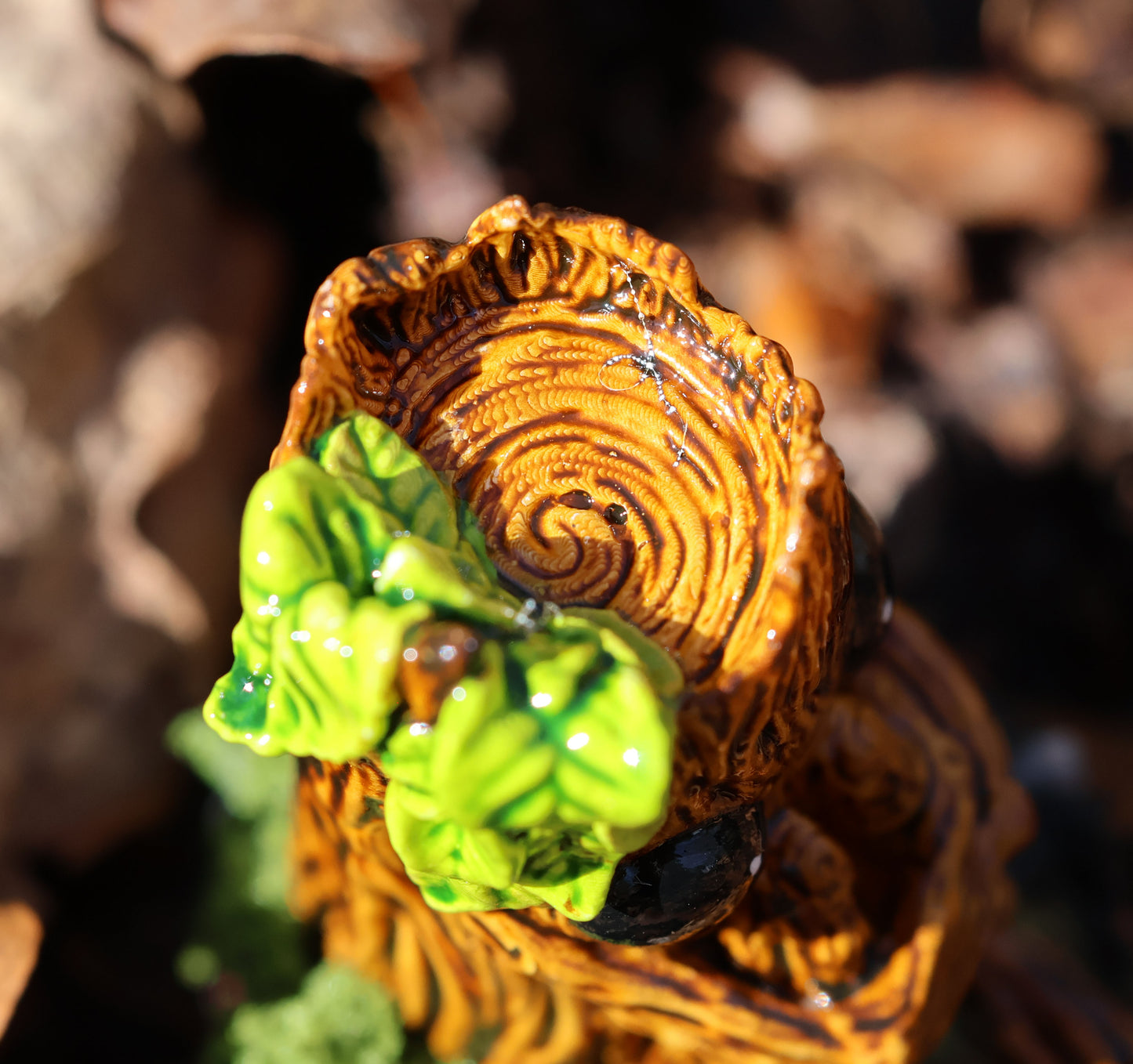 image shows a close up photo of splint the twigling's head. the view point is from above, focusing on the detail of splint's wooden texture, and the rings at the top of his head, his rough bark egdes forming almost a crown around his head, and his big black eyes, and a bushell of green leaves coming from the left side of his head. 