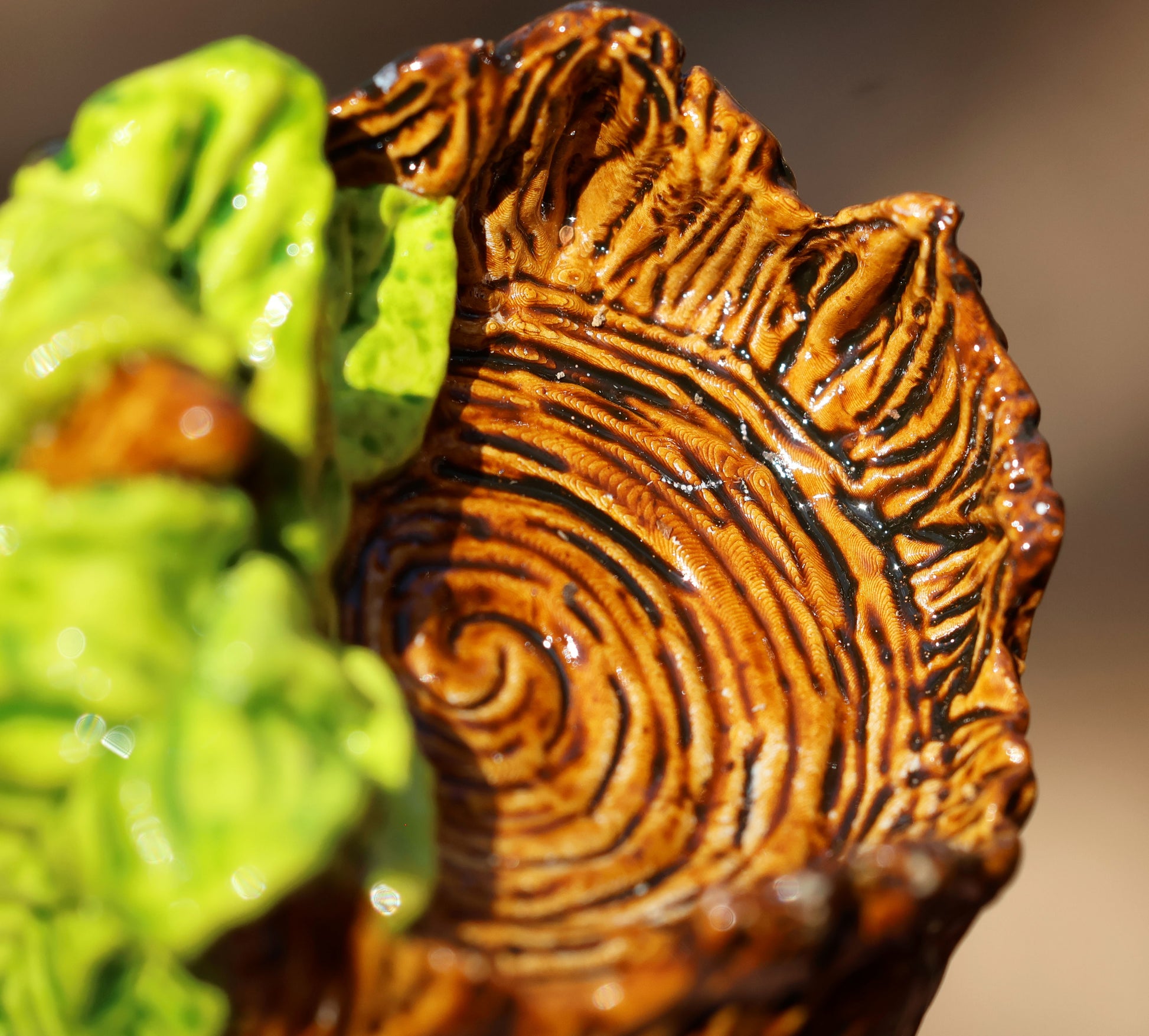 image shows a close up photo of splint the twigling's head. the view point is from above, focusing on the detail of splint's wooden texture, and the rings at the top of his head, his rough bark egdes forming almost a crown around his head,  a bushell of green leaves coming from the left side of his head. 