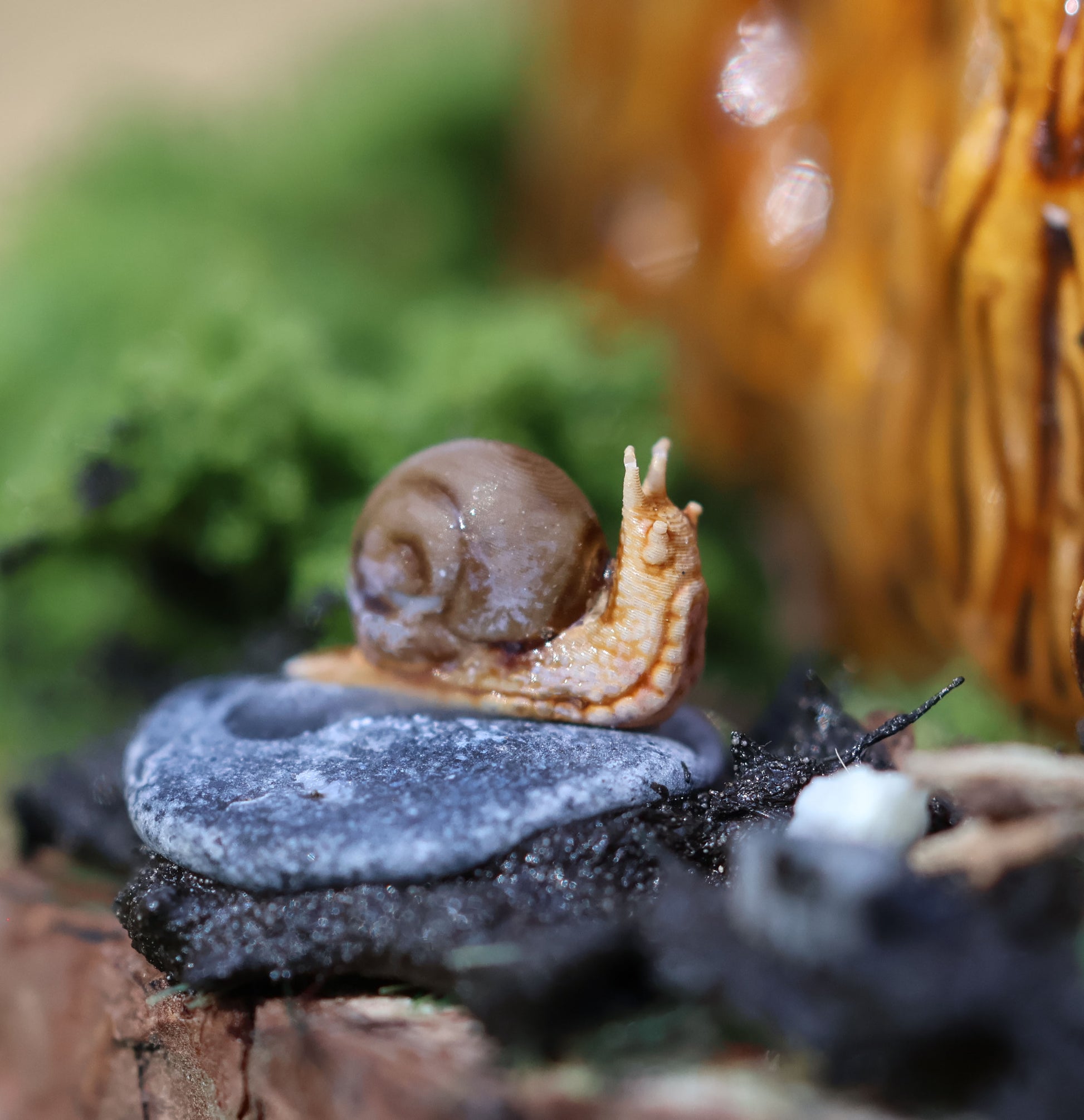 An extreme close up photograph of Splint's snail friend, who is perched on a rock beside him. The snail has beige flesh with orange tone, a brown shell, and is resting on a dark grey flat rock. there is some moss blurred in the background