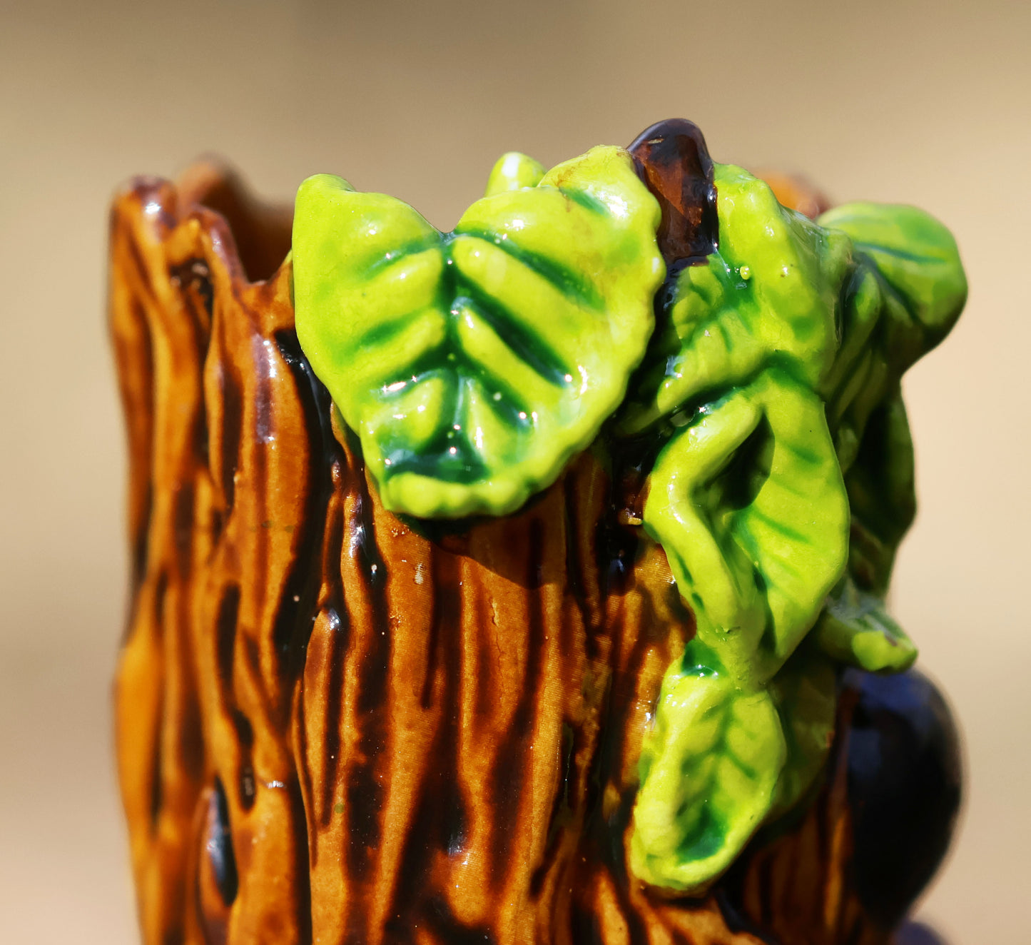 image shows a close up photo of splint the twigling's head. the view point is from above, focusing on the detail of splint's wooden texture, and the rings at the top of his head, his rough bark egdes forming almost a crown around his head,  a bushell of green leaves coming from the left side of his head. 