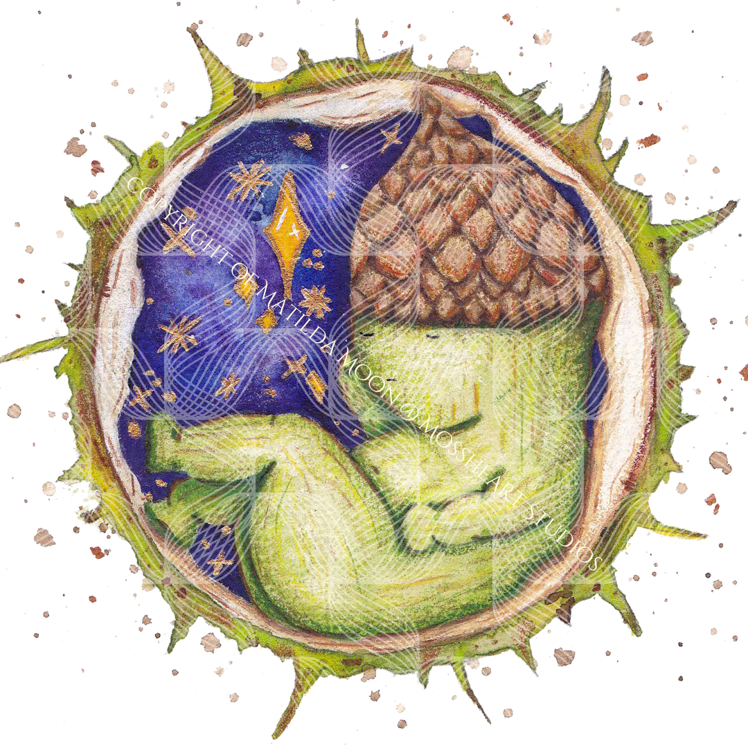 watermarked and copyrighted close up of watercolour artwork print by Matilda Moon. artwork features a small acorn baby creature sleeping inside the shell of a conker. behind them is a magical starry night