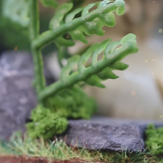 A video showing an adorable fly agaric mushroom figurine with a colorful red cap placed on a wooden base surrounded by a diorama of plants, the figurine is taken from a presentation box and shown displayed on a shelf