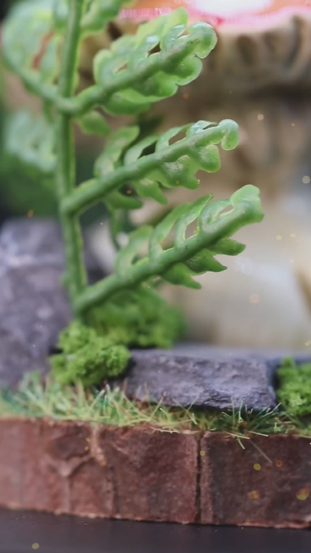 A video showing an adorable fly agaric mushroom figurine with a colorful red cap placed on a wooden base surrounded by a diorama of plants, the figurine is taken from a presentation box and shown displayed on a shelf