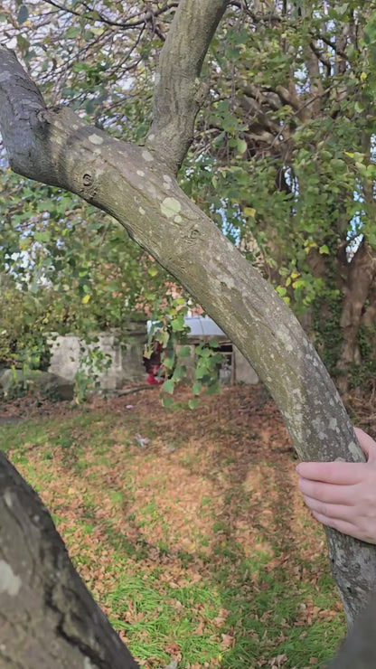 Grumpy Glumbert Beanie Hat