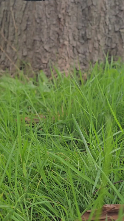 Splint the Twigling - Embroidered Cotton Socks