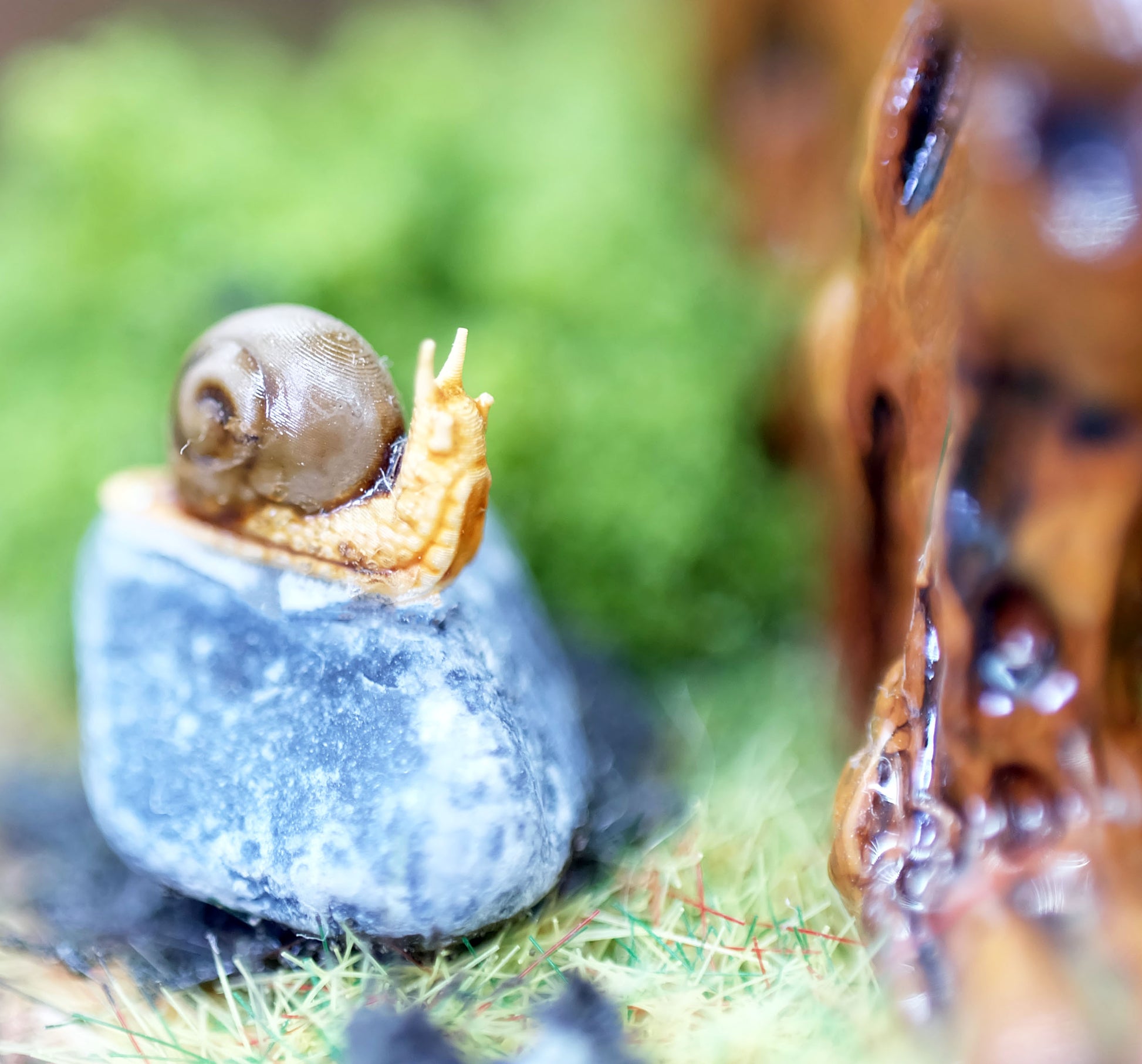 a close up photograph of the tiny snail that sits on a small grey rock beside Splint. The snail has a brown shell and light orange yellow flesh and appears to be looking up towards Splint. The rock is surrounded by grass and moss and is placed on the base beside the sculpture itself